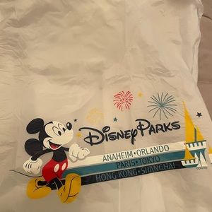 Disney World Adult Poncho